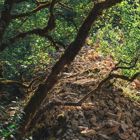 Idylle Du Causse بيت خشبي